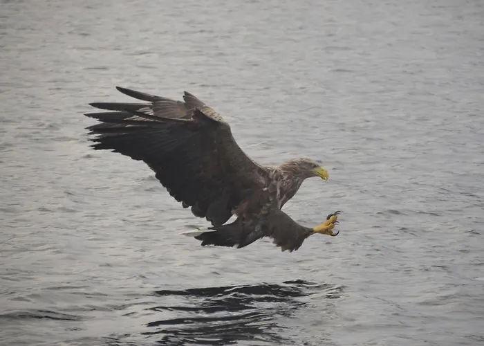 Fjord House * Fornes