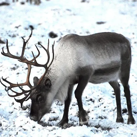 Holiday home Fjord House