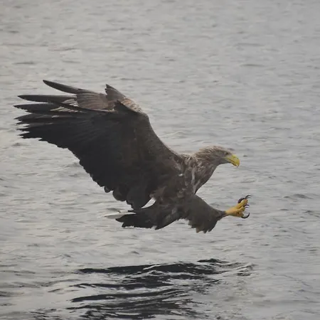 Fjord House * Fornes